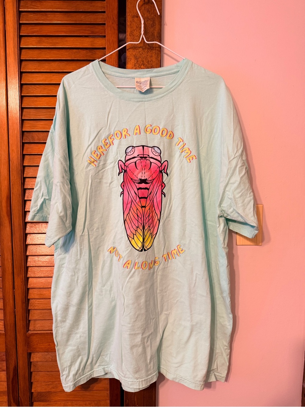 Funny Graphic Tee Comfort Wash
